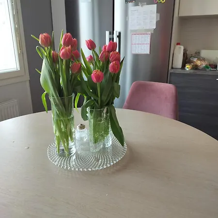 For 3 People Accommodatie bij particulieren
